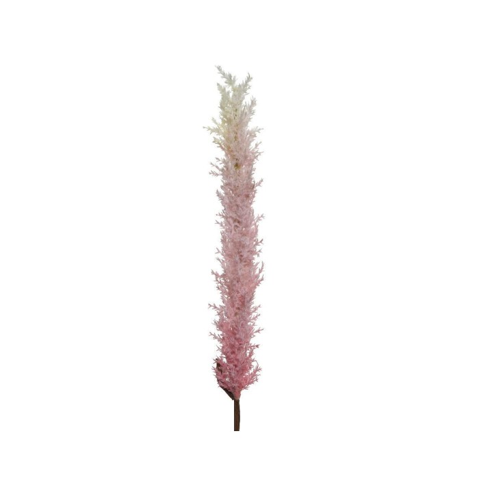 PAMPAS PINK H110